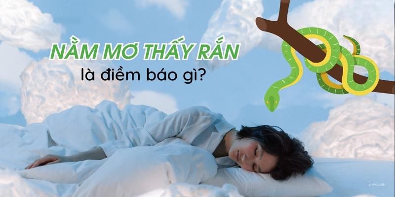 Mơ thấy rắn ẩn chứa nhiều điềm báo cho tương lai