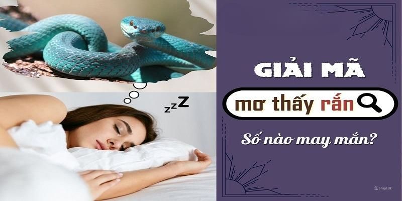 Những con số mang đến may mắn khi mơ thấy rắn