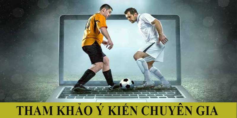 Tham khảo ý kiến từ các chuyên gia